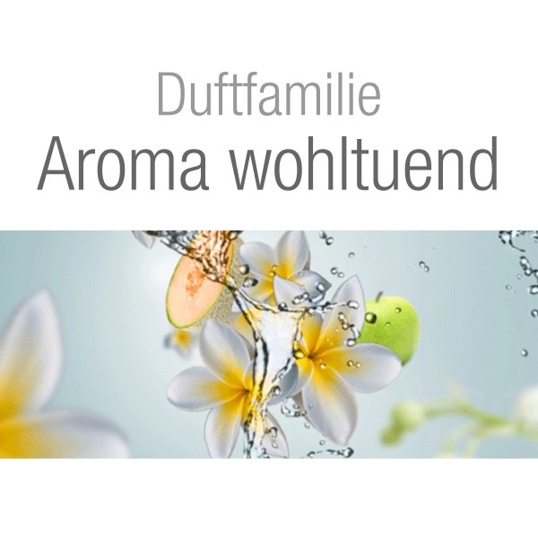 Lampe Berger Aroma wohltuend Happy