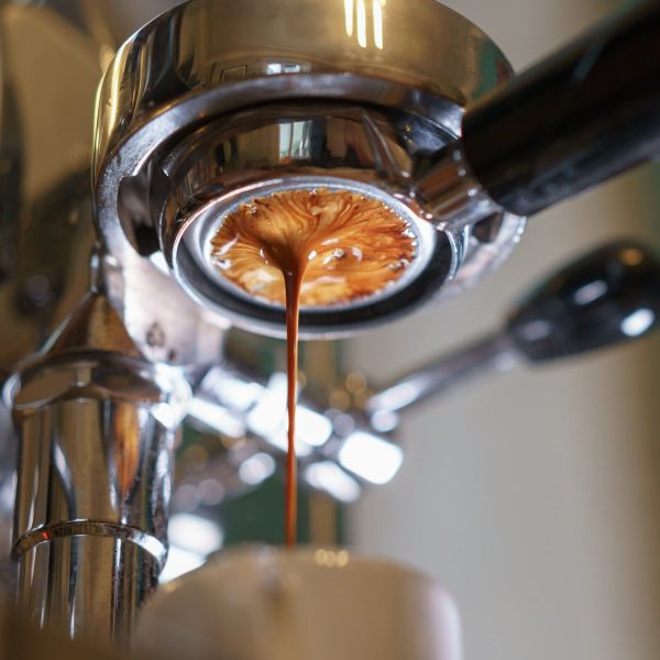 Bazzar Stella Mexico Bio