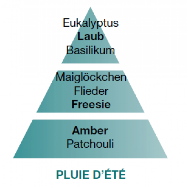 Lampe Berger Belebender Sommerregen