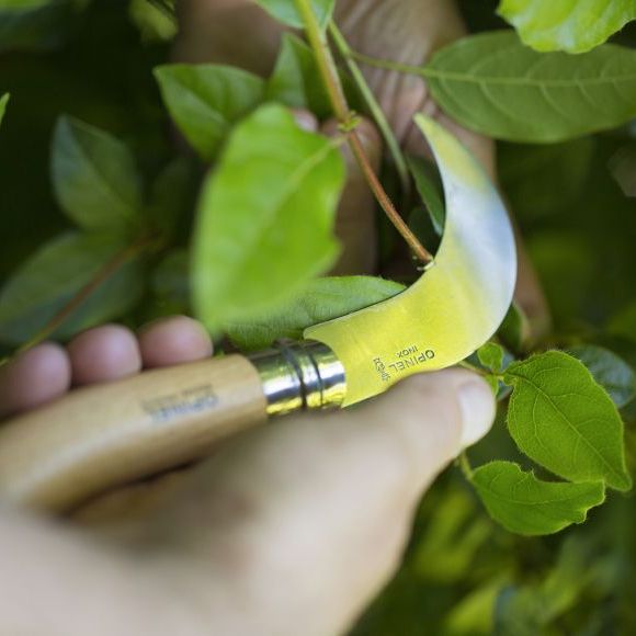 Gärtnermesser Serpette No 10 Buche rostfrei