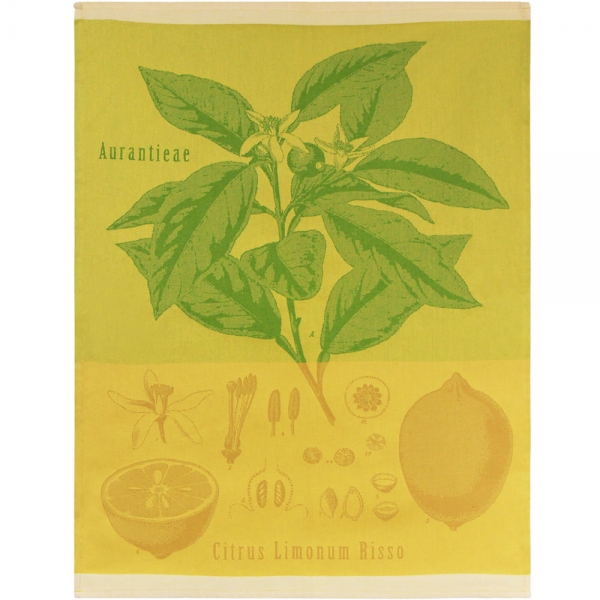 Küchentuch gewebt limitiert Citrus