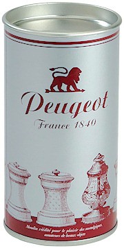 Historische Salzmühle Palace versilbert 10cm