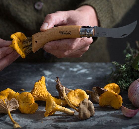 Pilzmesser Eiche rostfrei mit Etui