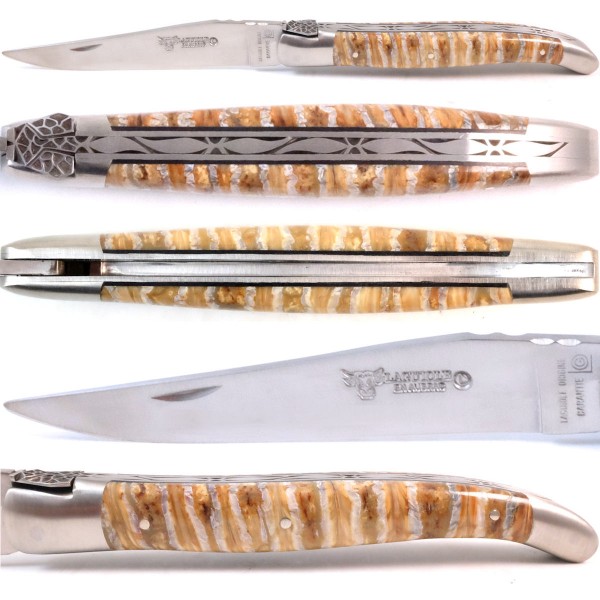 Mammut-Backenzahn getigert Prestige limitiert 12C27 Stahl