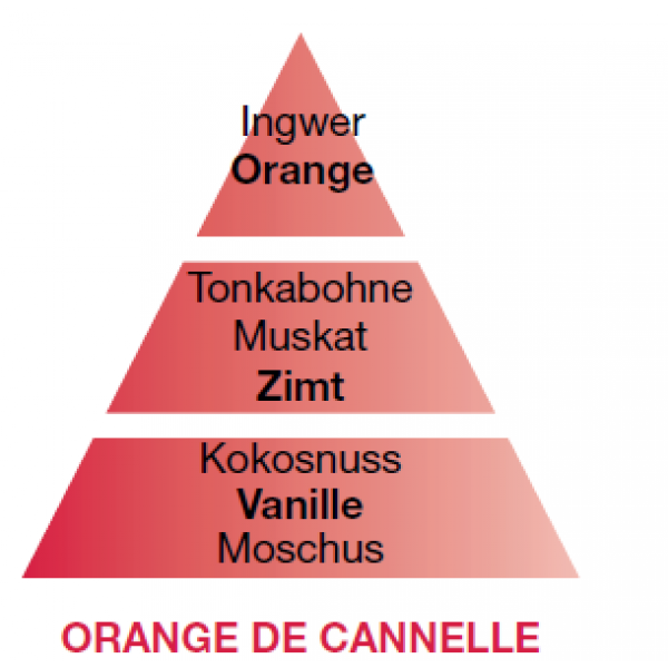 Lampe Berger Genüssliches Orange-Zimt