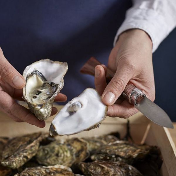 Austernmesser No 9 Buche rostfrei