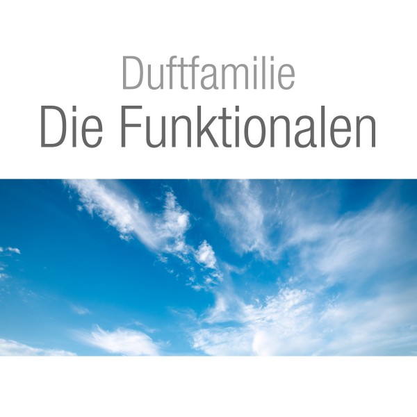 Lampe Berger Prickelndes Zitronengras