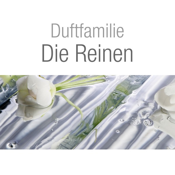 Lampe Berger Zarte Baumwollblüte