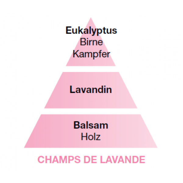 Lampe Berger Blühender Lavendel