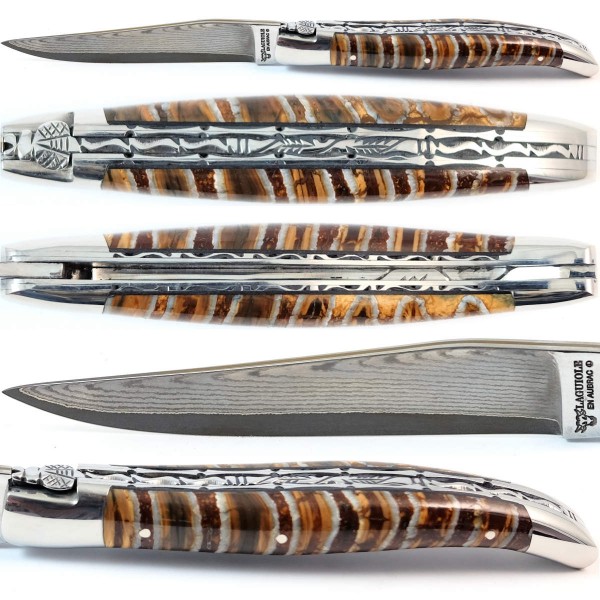 Mammut-Backenzahn getigert Doppelplatinen japanischer Damaststahl