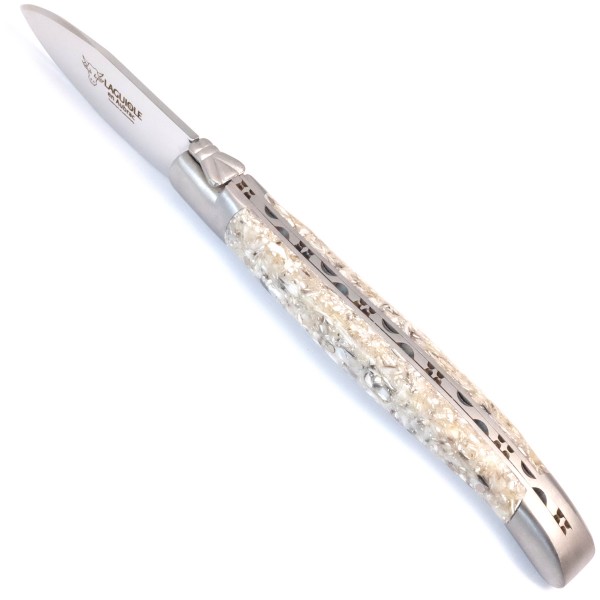 Premium Austernmesser Austernschalen