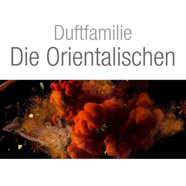 Lampe Berger Pudriger Amber