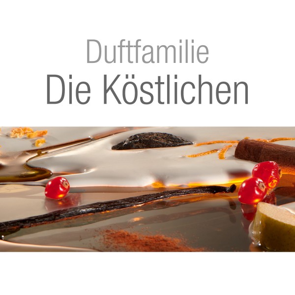 Lampe Berger Vanille Gourmet